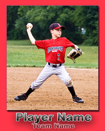 8x10poster_website